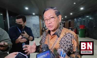 Istana Bantah Jokowi 'Cawe-cawe' untuk Pengaruhi Hasil Pilpres 2024