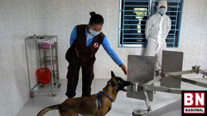 kamboja-covid Kamboja Covid 300x168