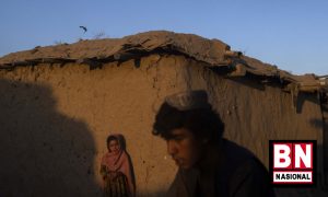Pengungsi Afganistan 300x180