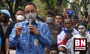 Anies2 300x180