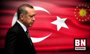 Erdogan 2 300x180