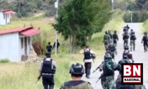 Patroli Papua 300x180