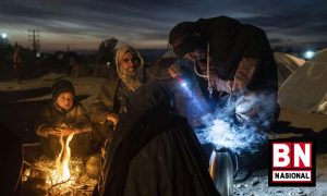 Pengungsi Afganistan 300x180