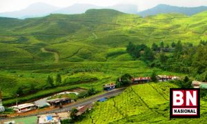 Puncak Bogor 300x180