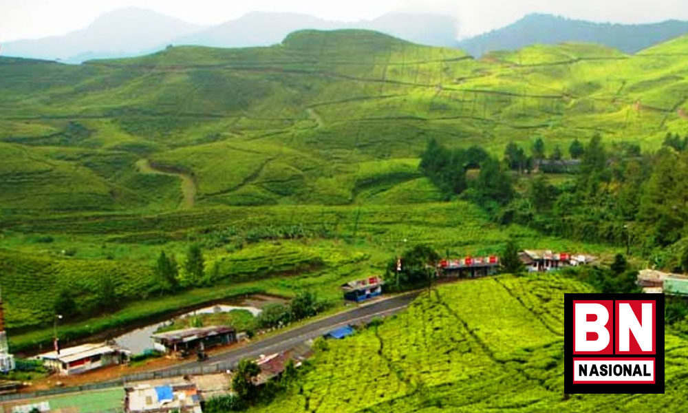 Puncak Bogor