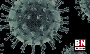 Virus Corona 300x180