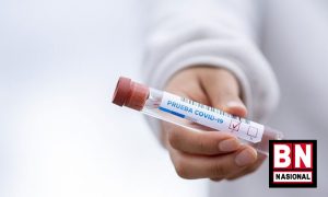 Virus Covid19 300x180