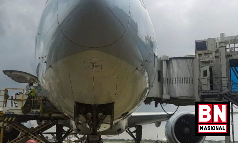 Pemerintah Beli 6 Juta Dosis Vaksin Sinovac Pastikan Stok Aman - BN Nasional