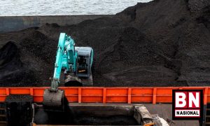 Krisis Batu Bara di PLN Ungkap Praktik Pembelian dari Makelar