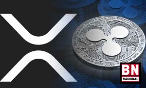 Analis Kripto Prediksi Harga XRP Bakal Meroket, Benarkah? - BN Nasional