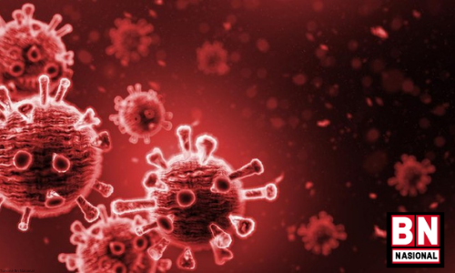 Waduh Omicron Menggila, Turki Catat Rekor 77 Ribu Kasus Sehari - BN Nasional