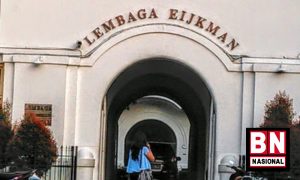 lembaga-eikjman Lembaga Eikjman 300x180