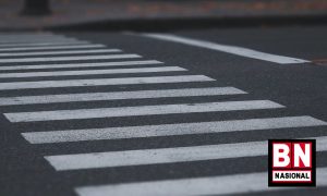 10 Zebra Cross 300x180