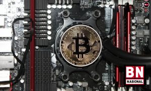 9 Kripto 300x180