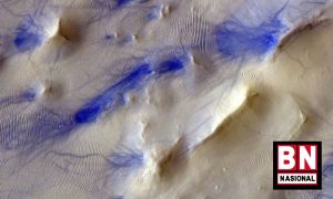 IMG 20220215 WA0034 300x180
