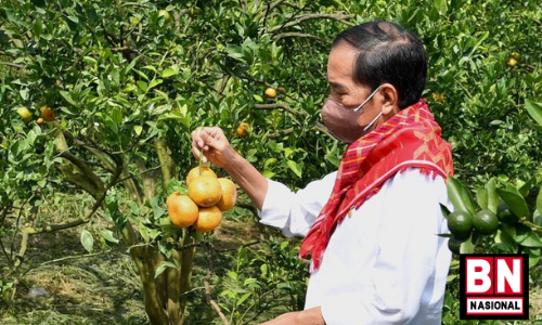 Presiden Jokowi Tegaskan Pentingnya Infrastruktur Jalan untuk Tunjang Kegiatan Produksi - BN Nasional