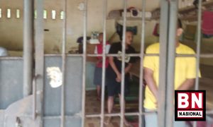 Bupati Langkat Akui Ada Penghuni Kerangkeng Manusia Meninggal Dunia, Tapi Bukan karena Dianiaya - BN Nasional Bupati Langkat Akui Ada Penghuni Kerangkeng Manusia Meninggal Dunia, Tapi Bukan karena Dianiaya - BN Nasional