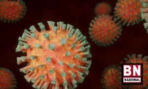 1 Virus Covid19 300x180