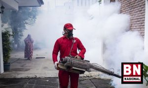 Selain COVID-19 Waspada Demam Berdarah Saat Pancaroba - BN Nasional