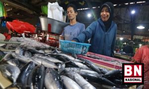 Jelang Ramadan, DPR Minta KKP Antisipasi Lonjakan Permintaan Komoditas Perikanan - BN Nasional Jelang Ramadan, DPR Minta KKP Antisipasi Lonjakan Permintaan Komoditas Perikanan - BN Nasional
