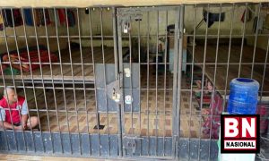 Manusia Kerangkeng 300x180