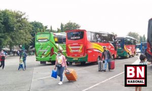 Terminal Bis 300x180