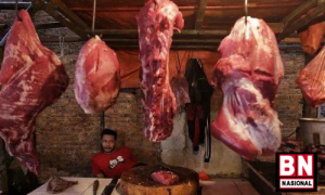 Mentan: Sebagian Daging Ternak Terinfeksi Penyakit Mulut dan Kuku Aman Dikonsumsi