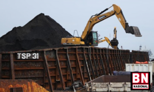 Kembali On Fire, Harga Batu Bara Naik 2,4% - BN Nasional