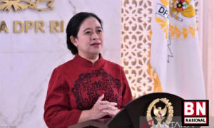 Tumline BnNasional 56 300x180