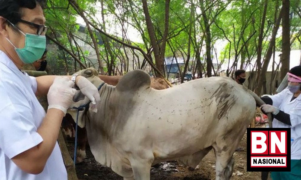 Wanti-Wanti DPR ke Kementan karena Ancaman Wabah Penyakit Mulut dan Kulu