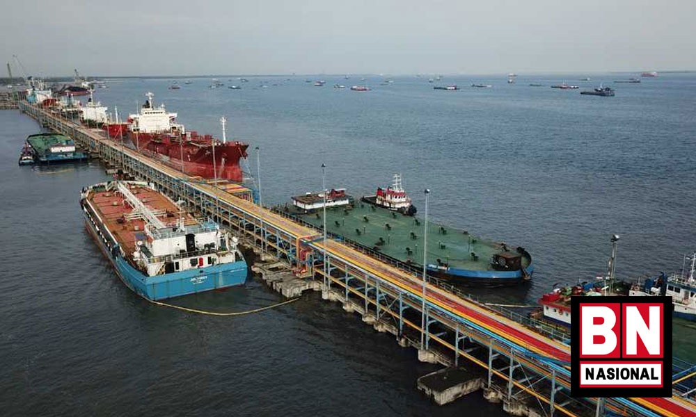 Larangan Ekspor Dicabut, Harga CPO Internasional Turun - BN Nasional