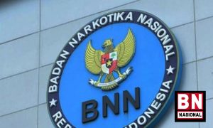 Bnn 300x180