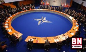 Nato 300x180