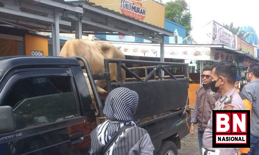 Sapi
