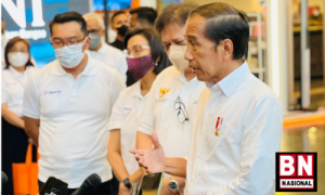 PMK pada Hewan, Presiden: Segera Berikan Vaksin - BN Nasional