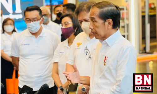 PMK pada Hewan, Presiden: Segera Berikan Vaksin - BN Nasional