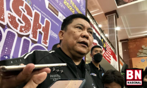 Kepala BNN: Tidak ada wacana legalisasi ganja di Indonesia - BN Nasional