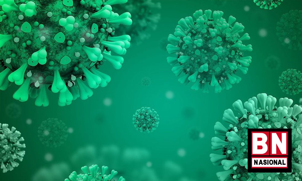 WhatsApp Image 2022 06 07 At 10.00.51