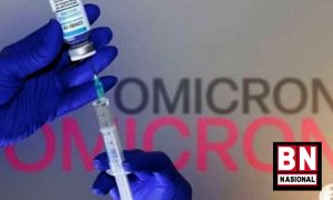 Omicron BA.4 dan BA.5 Lebih Cepat Menular, Cek Gejalanya - BN Nasional Omicron BA.4 dan BA.5 Lebih Cepat Menular, Cek Gejalanya - BN Nasional