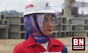 Nicke Widyawati 300x180