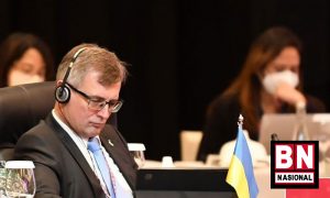 Vasyl-Hamianin Vasyl Hamianin 300x180