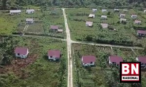 Kemendes PDTT Ungkap Jumlah Idealnya 4 Ribu Keluarga Transmigrasi per Tahun - BN Nasional