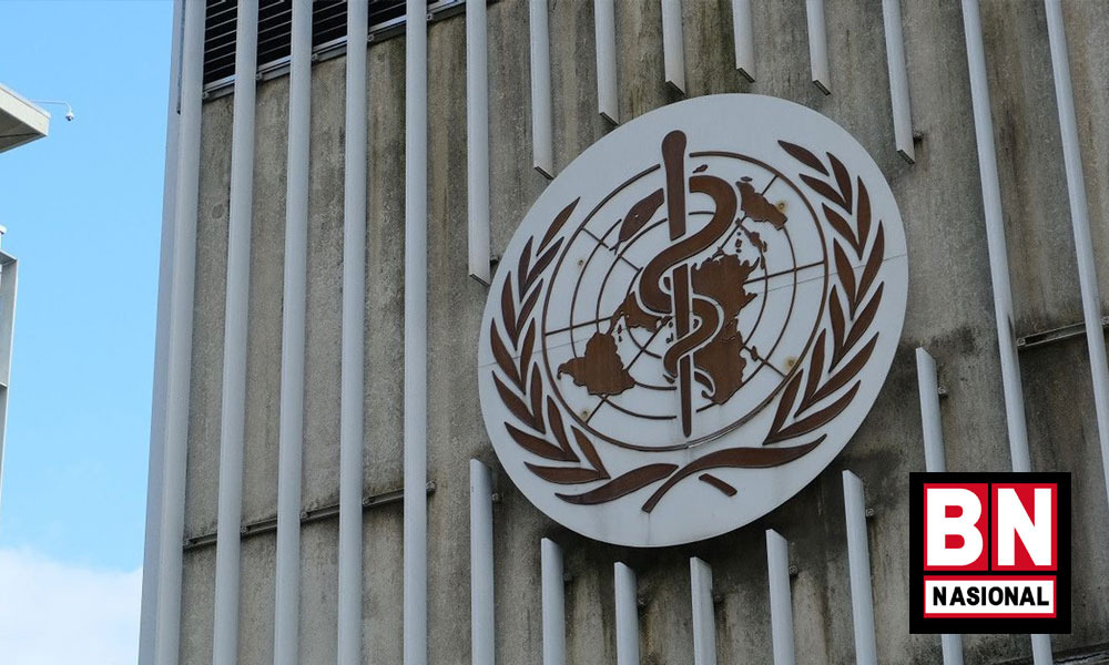 Awas! WHO Ungkap Wabah Cacar Monyet di Dunia Kini Tembus 14.000 Kasus, Lima Orang Tewas di Afrika - BN Nasional