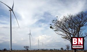 PLN Siap Kembangkan Pembangkit Bayu 597 MW hingga 2030 - BN Nasional