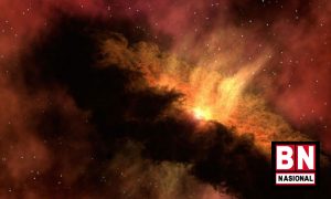 kosmik Kosmik 300x180