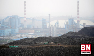Waduh China Lockdown (Lagi), Harga Batu Bara Ambrol - BN Nasional