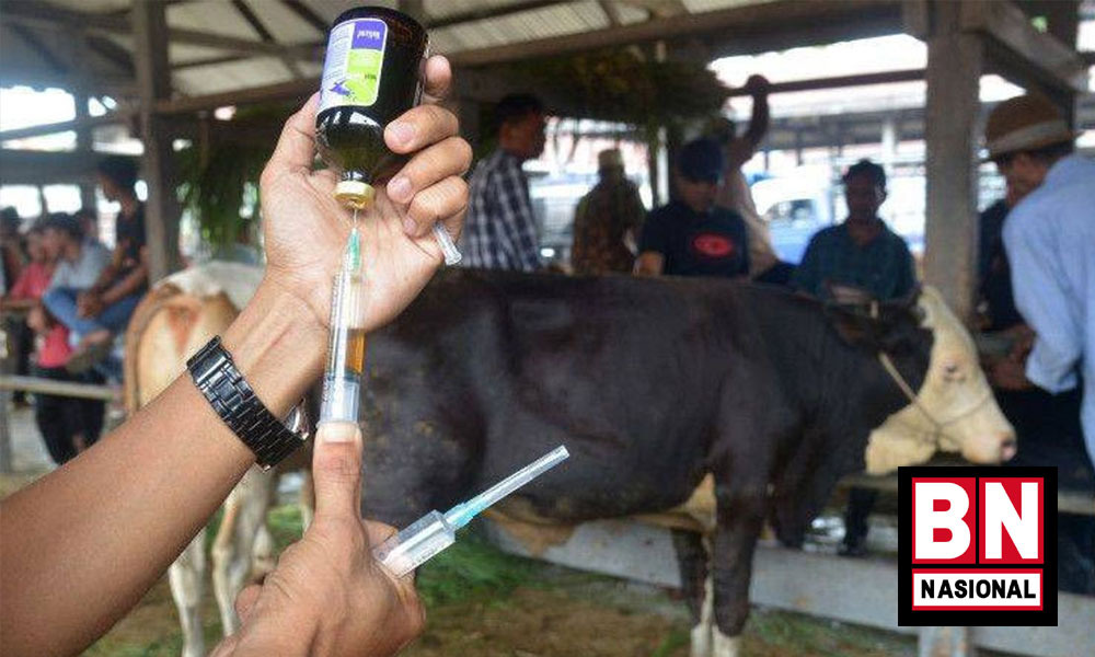 Dampak Wabah PMK di Indonesia Bisa Merembet ke Sektor Pariwisata - BN Nasional