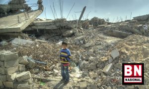 Israel dan Gerilyawan Palestina Deklarasikan Gencatan Senjata di Gaza Mulai Minggu Malam - BN Nasional