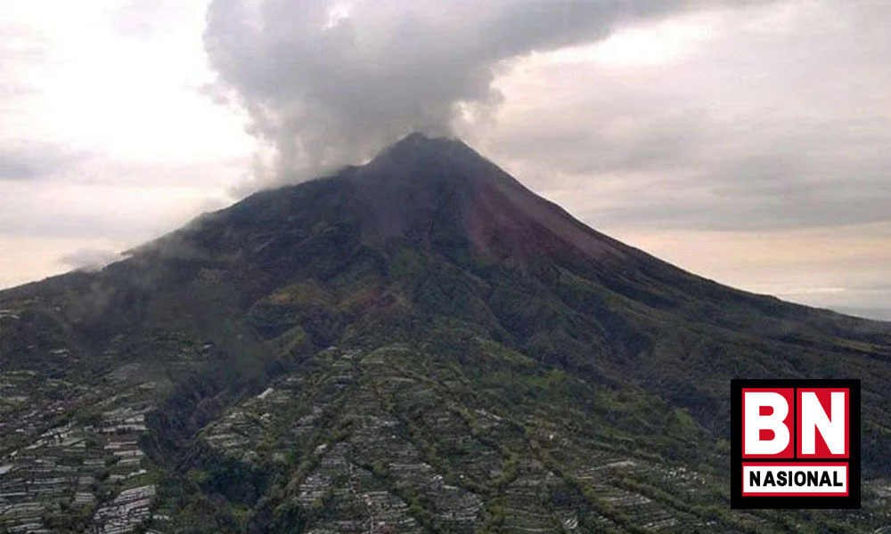 WhatsApp Image 2022 08 08 At 11.39.14