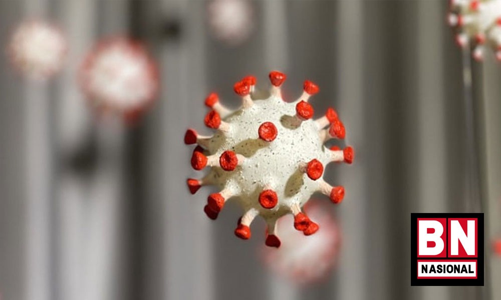 Mutasi Virus Bikin Indonesia Belum Aman dari COVID-19 Meski Antibodi Tinggi - BN Nasional